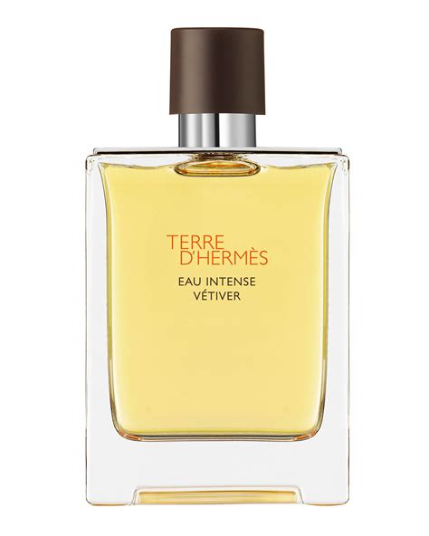 terre hermes eau intense vetiver|terre d hermes fragrantica.